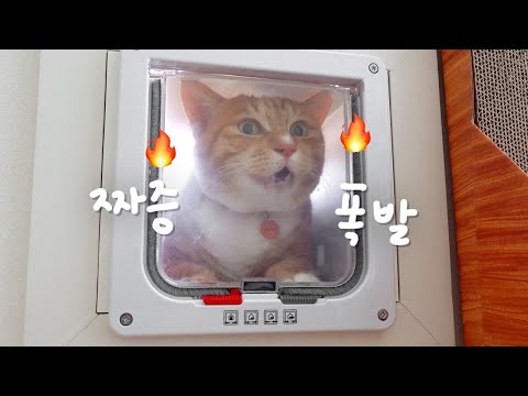 오들이가 짜증날 때는 이런 소리를 냅니다