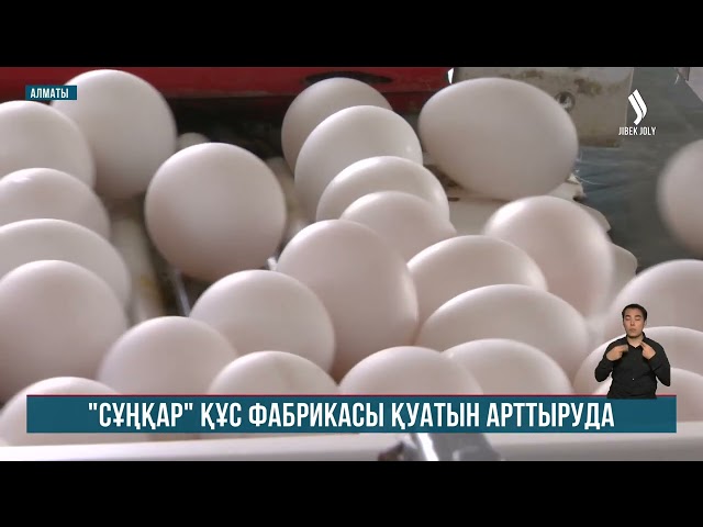 «Сұңқар» құс фабрикасы қуатын арттыруда