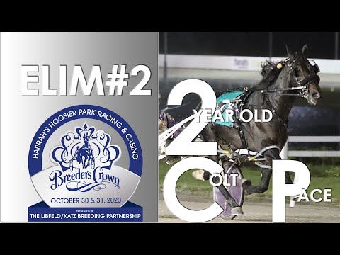2020 Breeders Crown Elim#2 - Perfect Sting - 2CP
