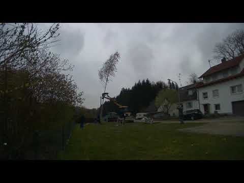 Rieder (Aislingen) 2021 Maibaum aufstellen unter Pandemieauflagen
