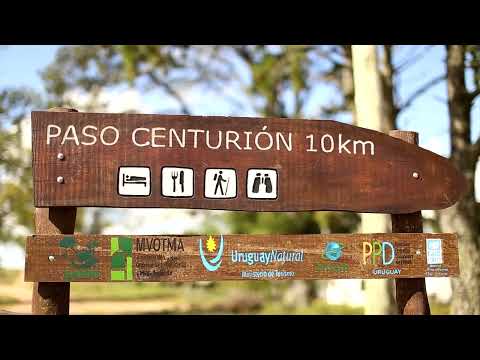 Temporada 2023 en Cerro Largo: Algunas localidades ya tienen 100% de ocupación