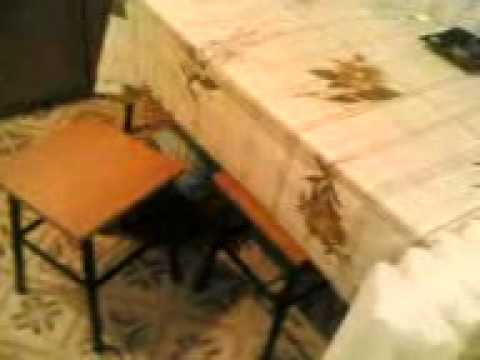 piron alexandru murfatlar.3gp