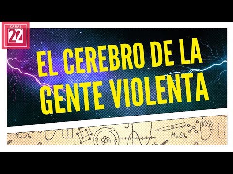 El cerebro de la gente violenta