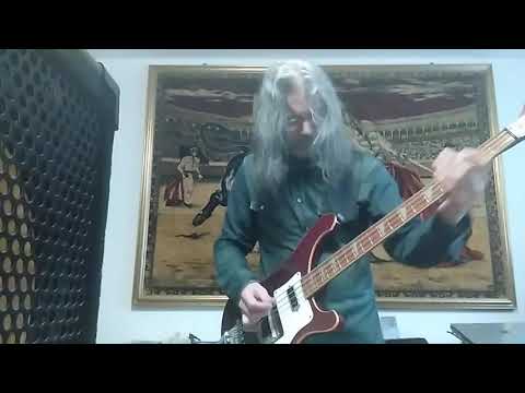 LE ORME Amico Di Ieri - Bass Cover