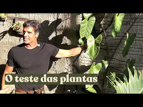 O Jardim do Arquiteto: O que Paulo Trigo plantou aqui?