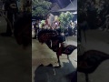 BATHORO RONGGO BUDHOYO