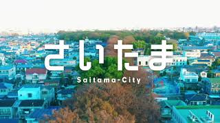 動画2