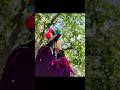 Top 10 Most Beautiful Girls Himachal Pradesh 2023 Shorts Top10