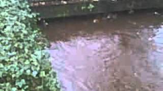 Flooding in Buxton, Derbyshire, UK, High River Overflowing