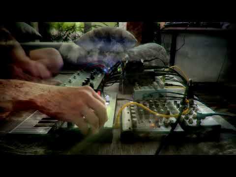 'We Must Dream' (MicroFreak, My Voice, Chase Bliss Blooper&Mood Mk2, E-H Mod Rex, SOMA Cosmos)