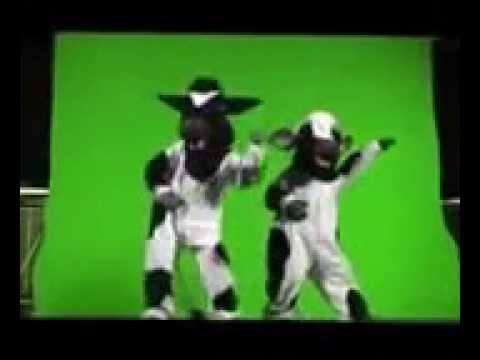 A vaquinha mococa harlen shaik remix !