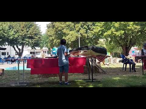 Feria de Antigüedades, Quilaco, Bio Bio, Chile