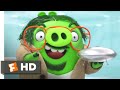 The Angry Birds Movie 2 (2019) - Piggy Gadgetland Scene (4/10) | Movieclips