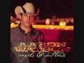 Aaron Watson - Rollercoaster Ride