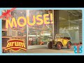 MOUSE HAPPY HOLIDAYS BRUM CLASSIC SHOW FULL EPISODES WildBrain Zigzag