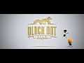 Black Ant Film