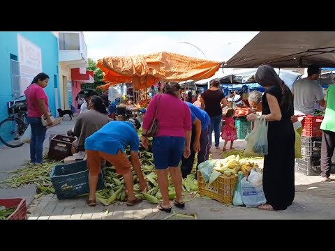 FEIRA LIVRE EM CARNAUBAL CEARÁ DIA 27/02/26