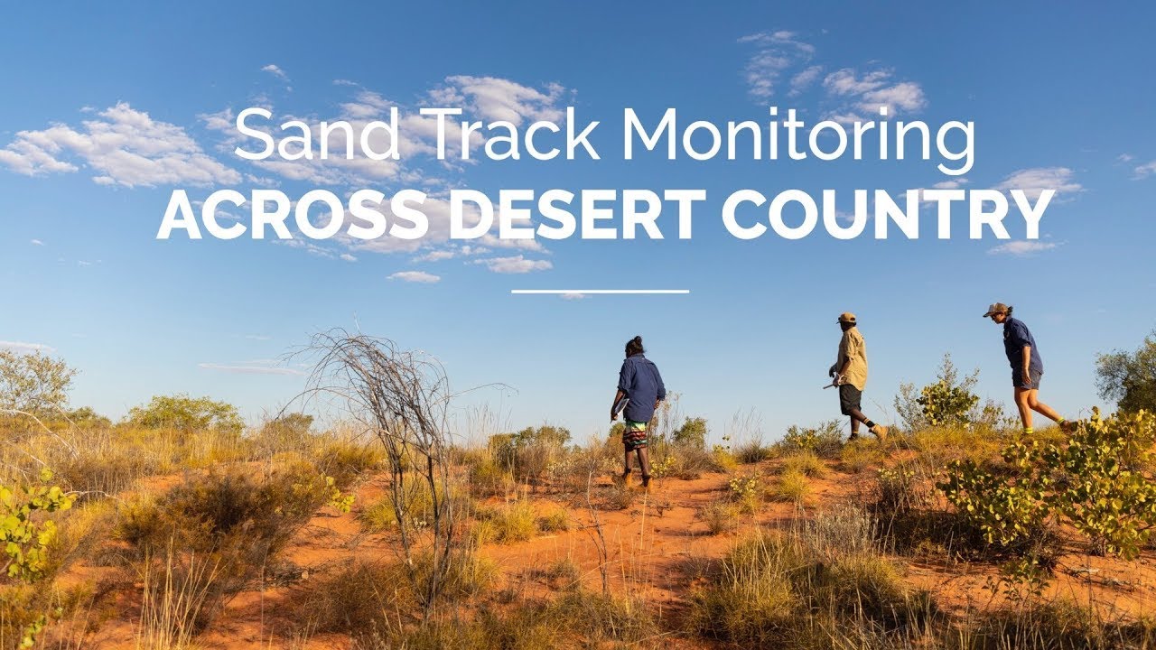 Reading the sand - Arid Zone Monitoring