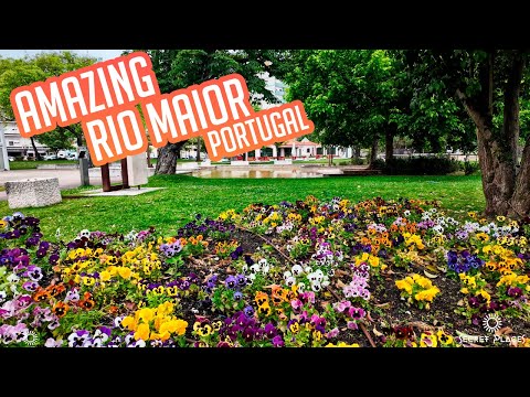 Discover Rio Maior one of the most wanted Citys to live in Portugal by foreigners 4k dji3