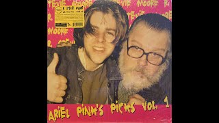 R. Stevie Moore - Ariel Pink's Picks Vol. 1