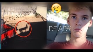 CAR IS DEAD/CREATURE?!....LAKE!!