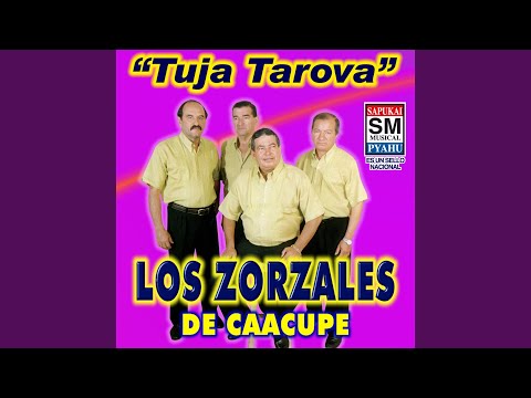 Reka`u ha nde celoso