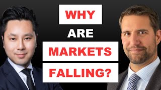 'Investors Are Panicking' In Huge Sell-Off; What's Next For Stocks, Gold, Bitcoin? | Chris Vermeulen