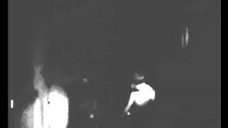 zimt 1981 - milzbrand (gang of four: love like anthrax: german coverversion)