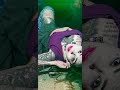 Video Kya Karu Dil Kahin Aur Lagta Nahi Hindi Status Full Screen