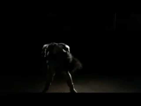 Collie Buddz - Mamacita