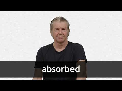 ABSORBED definition in American English Collins English Dictionary ABSORBED definition in American English Collins English Dictionary
