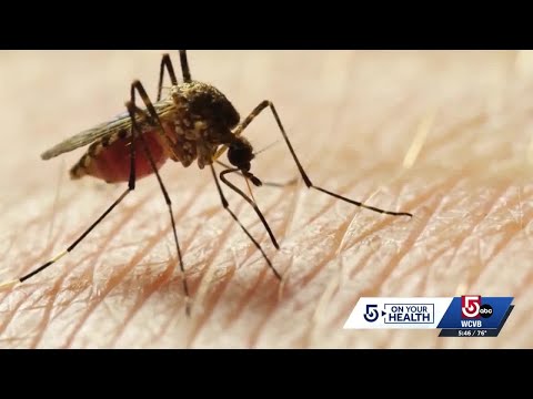 First West Nile-positive mosquitoes of the season found in ...