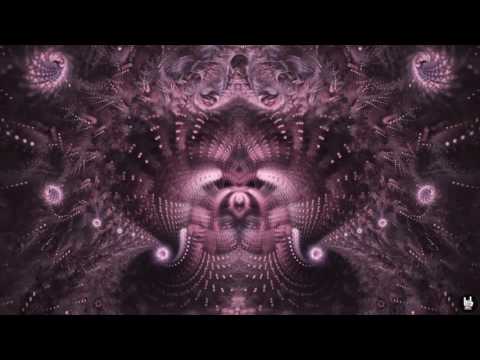 Audiomatic, Durs, Ranji, Phaxe, Querox & Unseen Dimensions!!! 2017