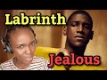 Labrinth - Jealous (Official Video) (REACTION)