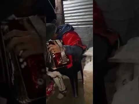 Señor toca Chamamé Bien criollo en el campo🤠🎶