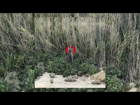 Carmen Boza - Encore - 04 San Juan