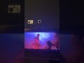 Aladdin 2019 Jafar S Defeat