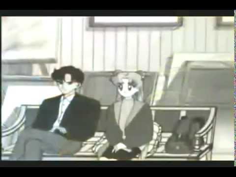 BERMUDAS - TUS CARTAS