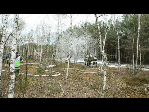 Manewry "Zasieki 2017" #4