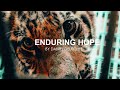 ENDURING HOPE By Daniel Deuschle