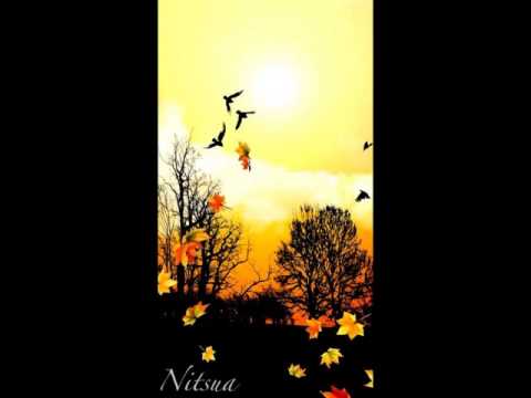 Nitsua - The Aftermath