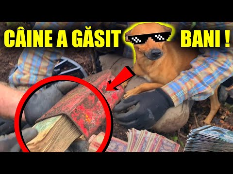 DOG found HUNDREDS OF THOUSANDS, Cars, Ammunition, and Other Unusual Objects Found Underwater and...