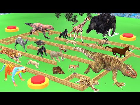 Wild Animals and Dinosaur Bombs Place Death run race|Animals Doodles TV|animals revolt battle  game