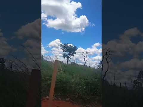 Chácara  Goianira Goiás vendas para você c.f 26018 T 62 993309873 Caturaí e Araçu Goiás