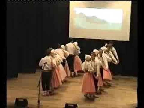 FS Kalina - Boršické