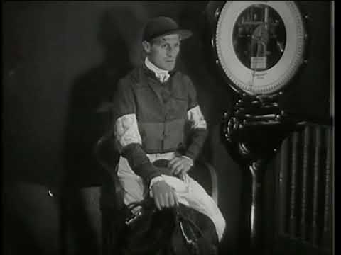 Die Schule des Rennpferdes