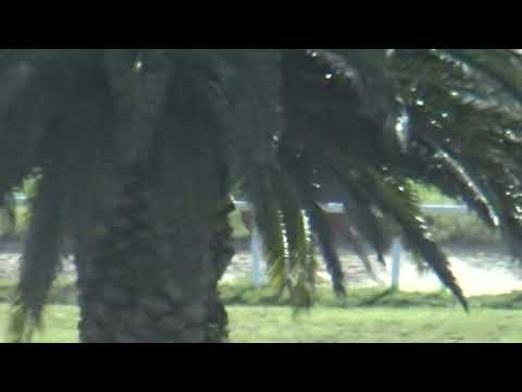 ES-UNICO(Brz)-REVISTA INVASOR