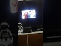 Tiktok Bocil Mantap