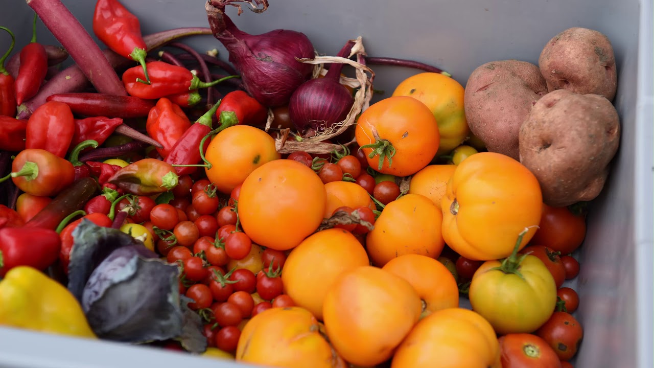 Forgetting the Flaws: Group Feeds Lincoln’s Food Insecurity
