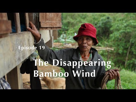 FAR OFF SOUNDS - The Disappearing Bamboo Wind